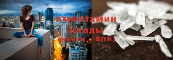 амф Бородино