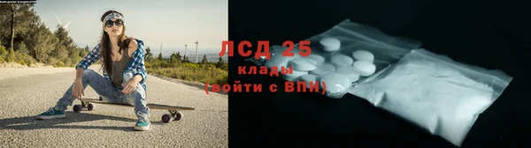 амф Бородино