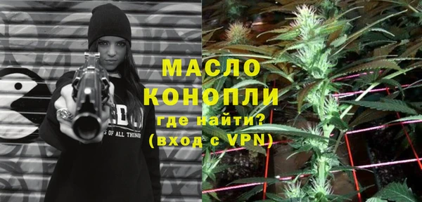 амф Бородино