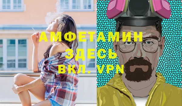 амф Бородино