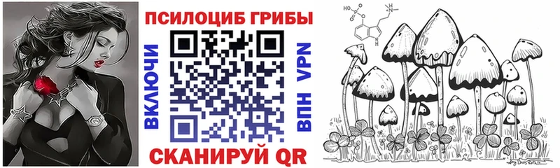 купить наркоту Калининец Псилоцибиновые грибы Psilocybine cubensis